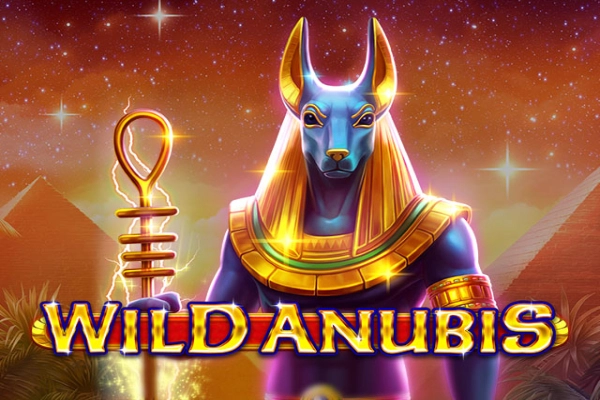 00362 wild anubis