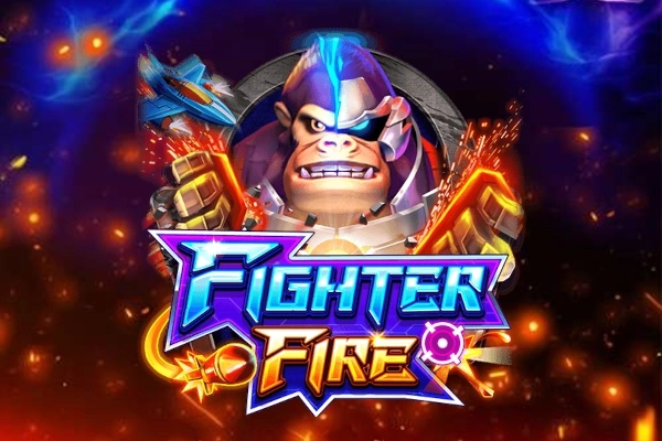11339 fighter fire