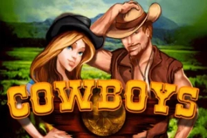 11689 cowboys