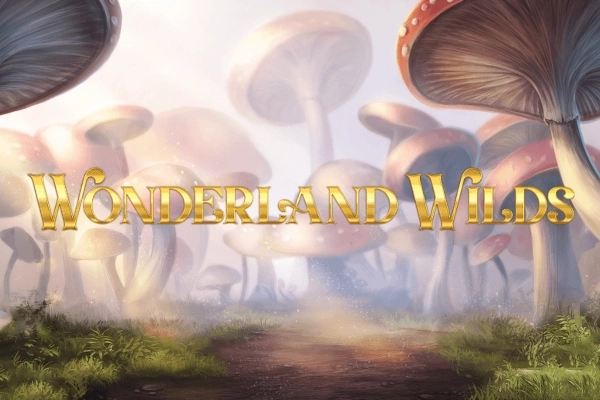 23306 wonderland wilds